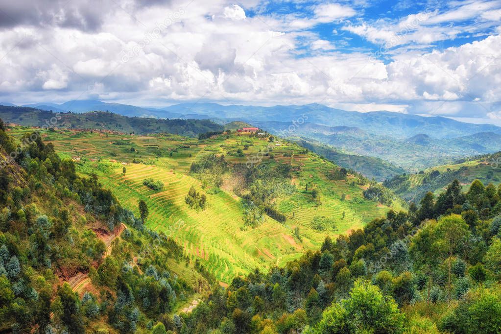 Rural Landscape Rwanda