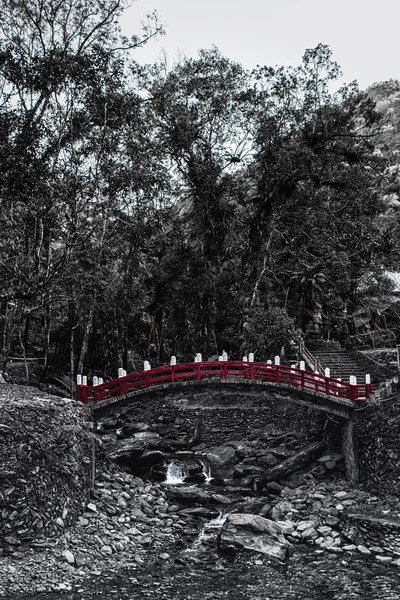 Zwart-wit bos met rode brug — Stockfoto