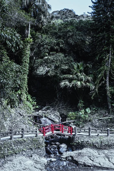Pont rouge traversant une forêt tropicale — Photo