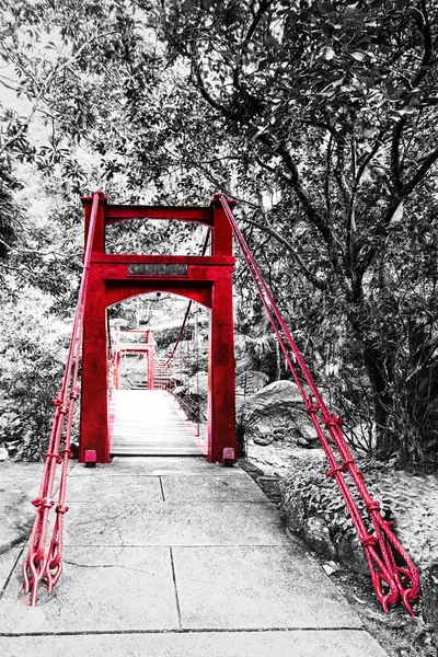 Black and white forest with red bridge — Stock Photo, Image
