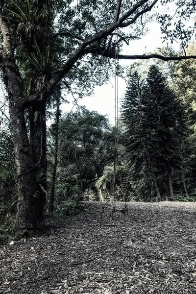 Balançoire abandonnée dans un parc naturel — Photo