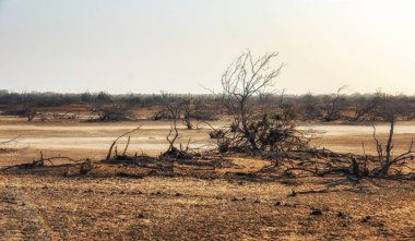 Manzara sahnesi, dakar, Senegal