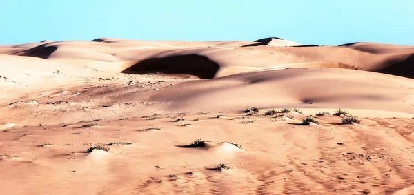 Sahara woestijn in Senegal, Afrika — Stockfoto