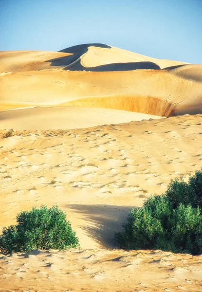 Sahara woestijn in Senegal, Afrika — Stockfoto