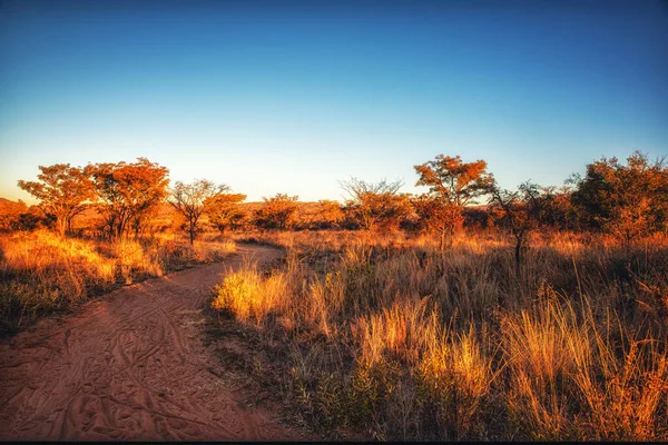 Savannenlandschaft Südafrika — Stockfoto