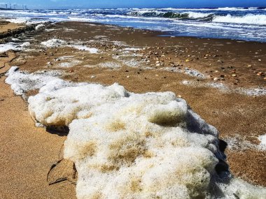 Hollanda sahilinde deniz köpüğü