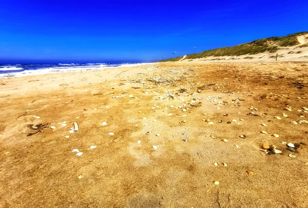 Amplo Ângulo Filmado Praia Holanda Norte Países Baixos — Fotografia de Stock