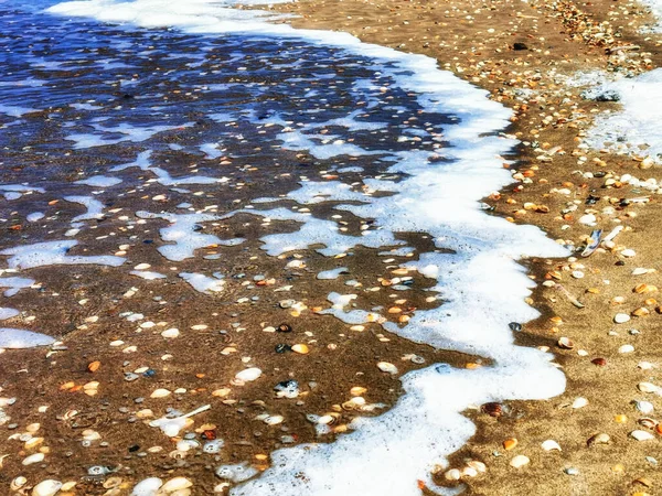 Juste Bord Vague Mer Nord — Photo