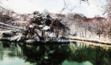 Changdeokgung Sarayı Kış mevsimi, Güney Kore