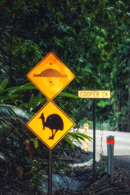 Yağmur ormanlarında Cassowary uyarısı, Daintree Ulusal Parkı, Kuzey Queensland, Avustralya
