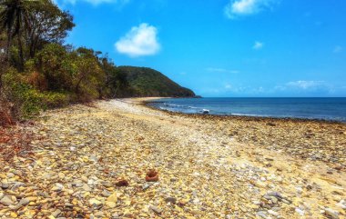 Emmagen Sahili, Daintree Ulusal Parkı, Queensland, Avustralya