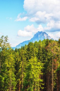 Doğa Arkaplan Dağı Grosser Sonnstein, Salzkammergut, Yukarı Avusturya, Avusturya