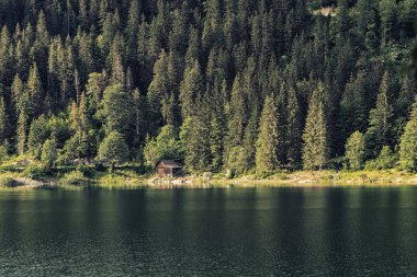 Yazın güneşli bir günde Alpler 'deki cennet ormanlarında gözlerden uzak geleneksel ahşap dağ evi manzarası, Gosausee, Salzkammergut, Yukarı Avusturya bölgesi, Avusturya