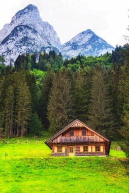 Alp çayırı, bazı kır evleri ve arkasında Gosau dağı zirveleri olan Avusturya..