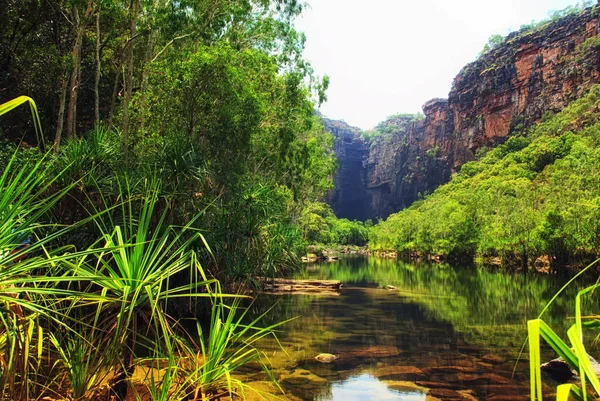 Jim Jim Gorge River Park Narodowy Kakadu Terytorium Północne Australia — Zdjęcie stockowe