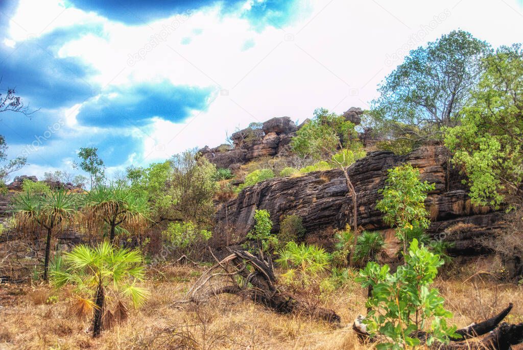 Natural dry grasses, greenery and rock formation at Kakadu National Park in the Northern Territory of Australia