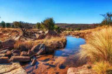 Güney Afrika 'da savanda küçük bir nehir esiyor.