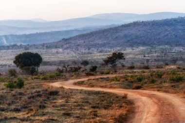 Toprak yolu ve Afrika savanı olan bir manzara.