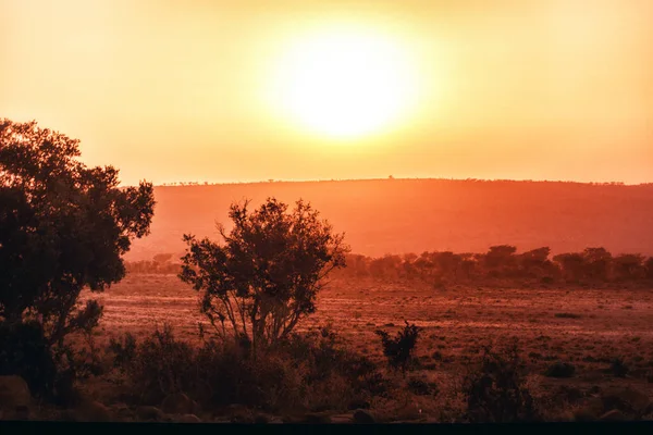 Ранним Утром Восход Солнца Большими Силуэтами Деревьев Красным Небом — стоковое фото