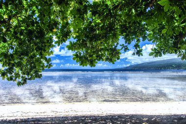 Güney Pasifik, Fiji, Taveuni, Yeşillik Taveuni Adası 'nın batı kıyısında ıssız bir plajda asılı duruyor..