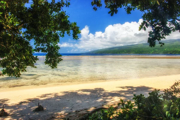 Fiji Taveuni Playa Arena Blanca Océano Claro Enmarcado Por Hojas — Foto de Stock