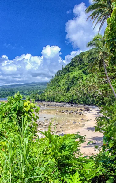 Fiji Taveuni Strand Wit Zand Heldere Oceaan Omlijst Door Groene — Stockfoto