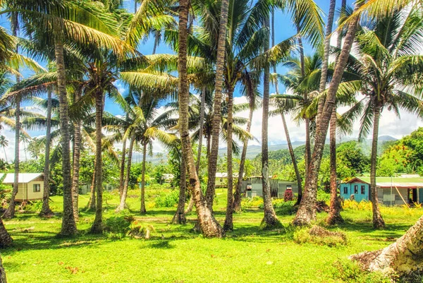 Palmeras Playa Tropical Las Islas Fiyi Océano Pacífico Sur — Foto de Stock
