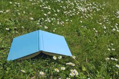 ters mavi kitap yeşil bir çayır üzerinde