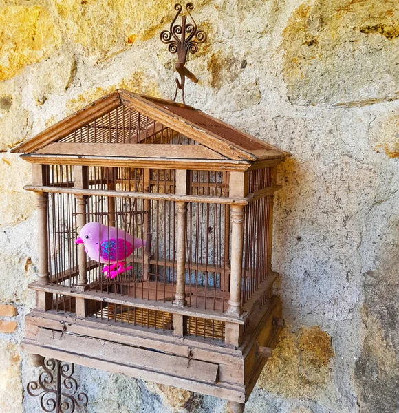 Cage Bois Accrochée Mur Maison Oiseau Dans Une Cage Attendant — Photo