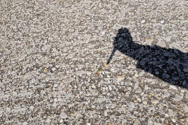 Gölge. Bıçakla el. Gri arka planda.