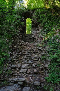 Yeşil ormanın derinliklerinde ki tuğla kemer. Su drenajı için portal i