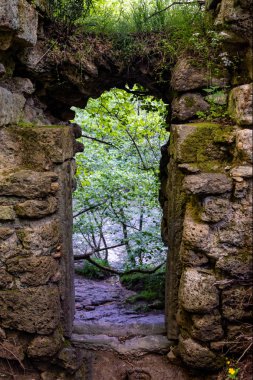 Yeşil ormanın derinliklerinde ki tuğla kemer. Ormandaki suyu boşaltma portalı. Close