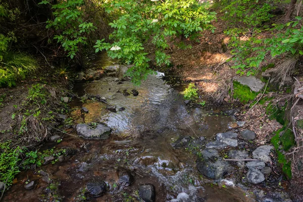 Liten fjäll älv i skogen. Vatten strömmar mellan ston — Stockfoto