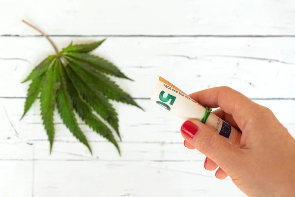 Cannabis blad med eurosedlar på bordet. Cannabis försäljning legalisering koncept. Synpunkt POV. — Stockfoto