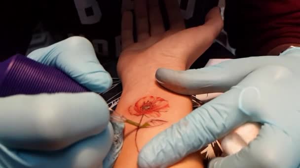 Maestro Del Tatuaje Hace Tatuaje Flor Amapola Mano Femenina Estudio — Vídeo de stock