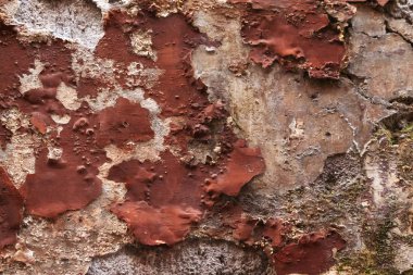 Çatlak, eski, paslı duvar dokusu 