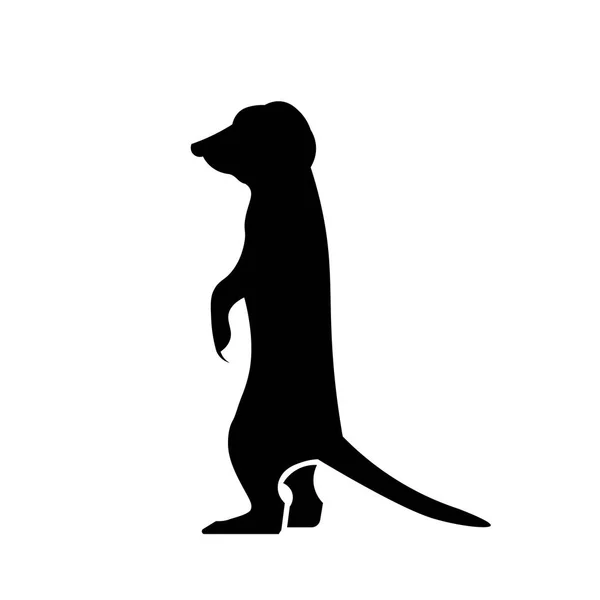 Vector de icono de Meerkat — Vector de stock
