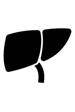 Karaciğer Simge Vektör