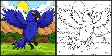 Bu boyama sayfasında Kuş Hyacinth Macaw var. Bu illüstrasyonun bir tarafı renkli ve çocuklar için bir ilham kaynağı..