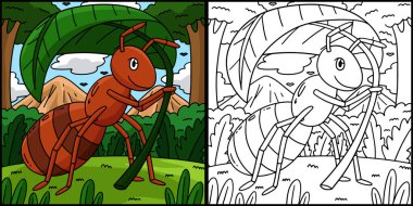 Bu renkli sayfa Konoha Şemsiyeli Karınca 'yı gösteriyor. Bu illüstrasyonun bir tarafı renkli ve çocuklar için bir ilham kaynağı..