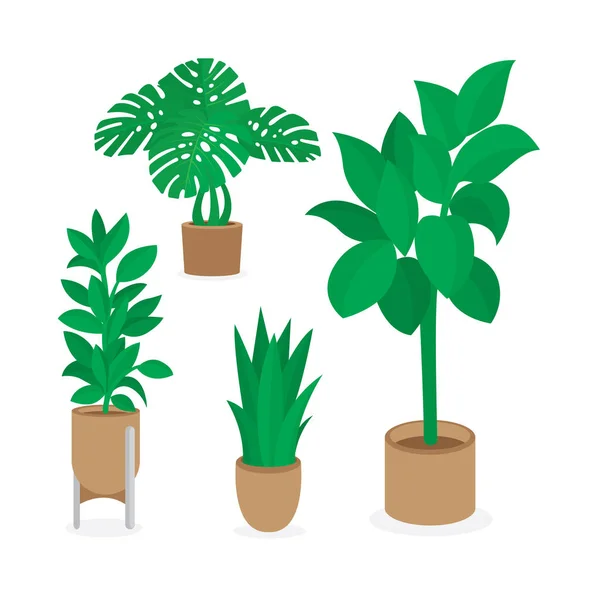 Decoratieve Planten Vector Illustraties Set Diverse Indoor Groene Planten Potten — Stockvector