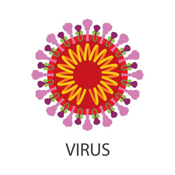 Wirus Koronawirus Wewnątrz Ilustracji Wektora Struktury Część Zestawu — Wektor stockowy