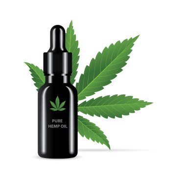 Saf kenevir yağı. CBD petrol gerçekçi vektör çizimi. Beyaz arka planda yağlı ve kenevir yapraklı damlalar var. Kümenin bir parçası.