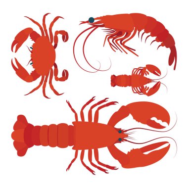 Istakoz, kerevit ve karides gerçekçi vektör çizimi. Su altı yaşamı. Deniz ürünleri. Kümenin bir parçası.