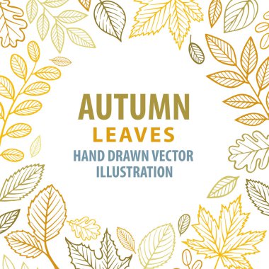 Sonbahar arkaplanı. Sonbahar renk yaprakları ve bitki vektör çizimleri. Çiçek çerçevesi çiz. Kümenin bir parçası.