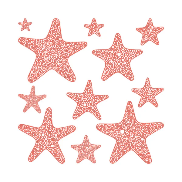 Colección Stars Varias Estrellas Mar Ilustraciones Vectoriales Dibujadas Mano Conjunto — Vector de stock