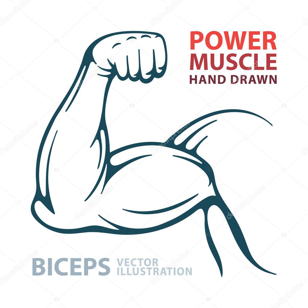 Big muscular biceps. Strong male arm. Bodybuilder power hand muscle. Hand drawn vector illustration. Part of set.