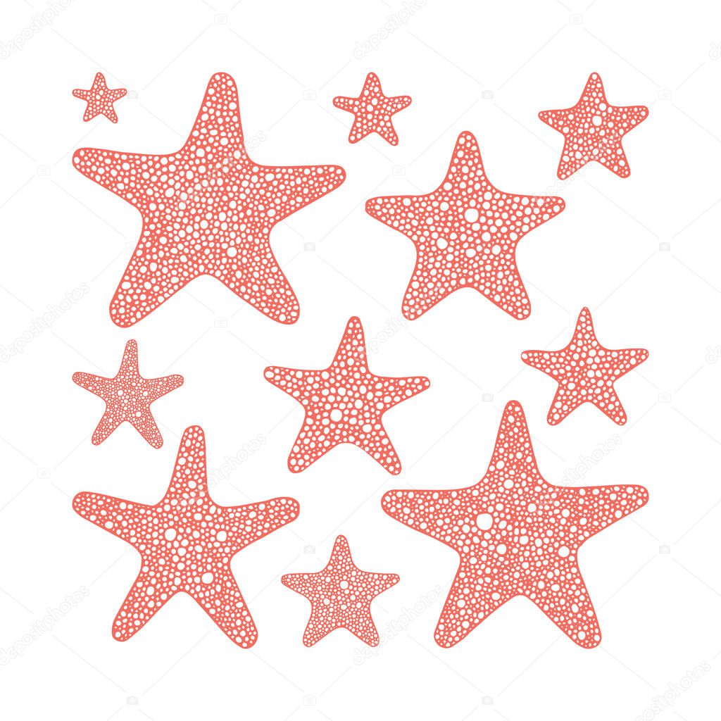 Stars collection. Various sea starfish hand drawn vector illustrations set. 