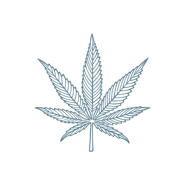 Cannabis Blatt Marihuana Blatt Hand Gezeichnete Vektorillustration Cannabis Skizze Zeichnen — Stockvektor