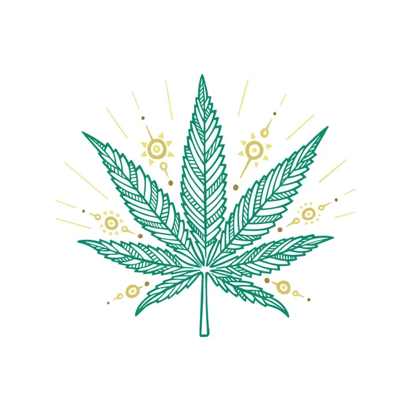 Cannabis Leaf Marijuana Leaf Hand Drawn Vector Illustration Cannabis Sketch — Stock Vector